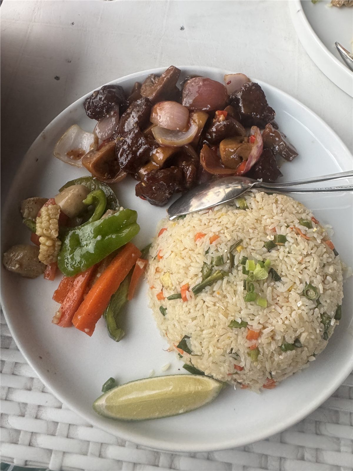 Plate of fried rice, vegetables and a savoury dish